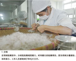 羽絨服檢測過程