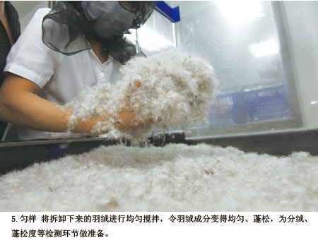 羽絨服檢測過程