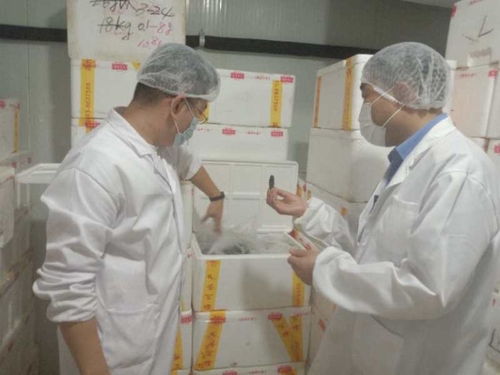 城陽(yáng)區(qū)緊急開(kāi)展海參加工企業(yè)專項(xiàng)檢查，全面排查315晚會(huì)曝光問(wèn)題